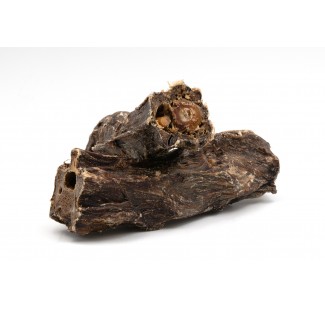 Collo di cervo 100g - Snack dentali per cani - AltuDog