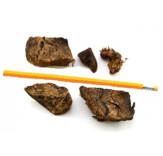 Carne di Cavallo Disidratata 100g