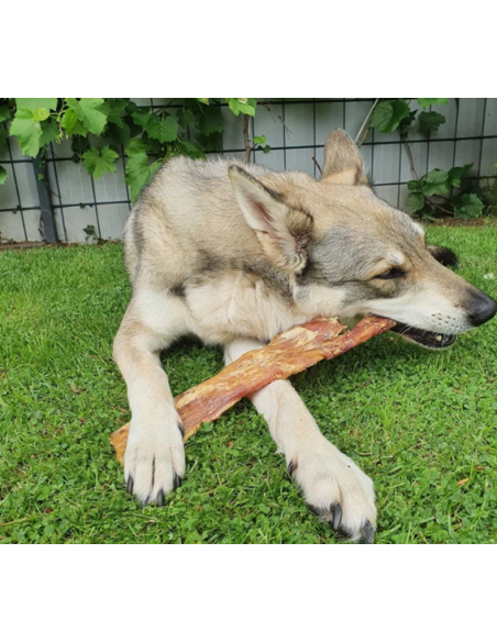Tendão de Wagyu XL deshidratado, - Petiscos para cães - AltuDog
