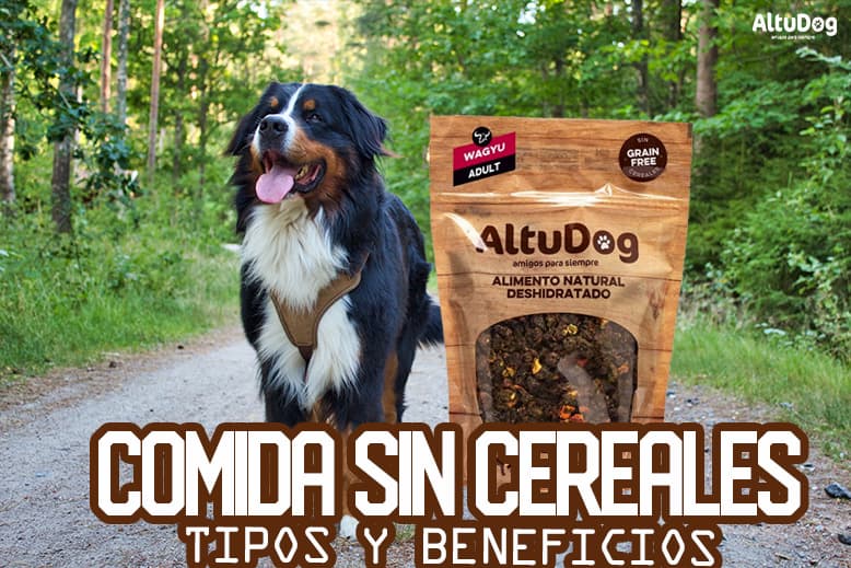 Comida para Perros sin Cereales: Tipos y Beneficios - AltuDog
