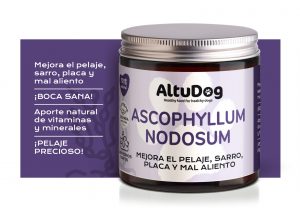 suplementos naturales para perros