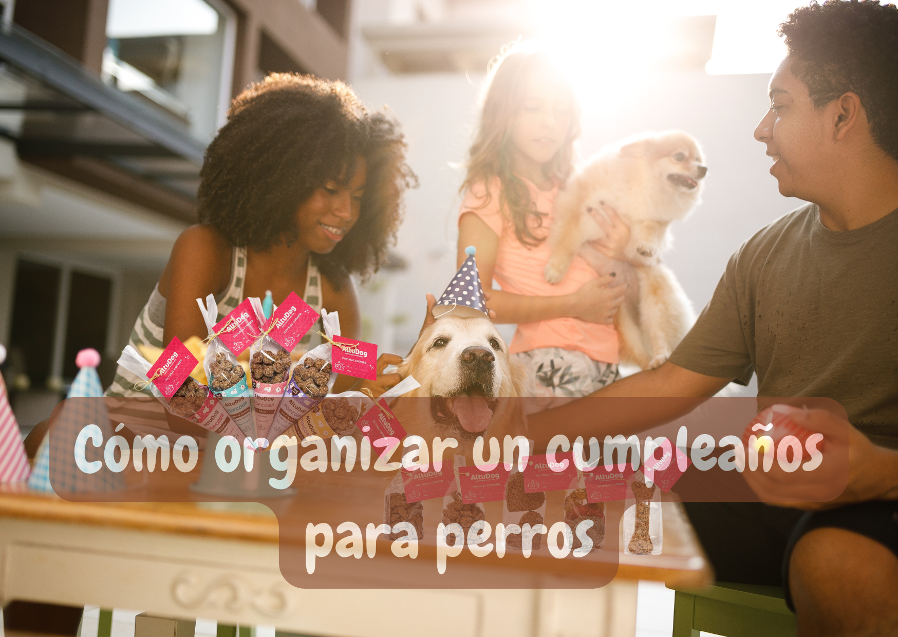 organizar cumpleaños perros
