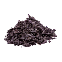 Algae Ascophyllum nodosum