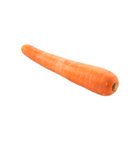 Carrot