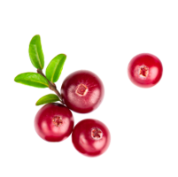Mirtillo