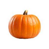 Zucca